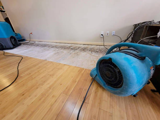 Reliable Basement Flood Cleanup contractor in Mechanicsburg, OH by Hirex Water Damage