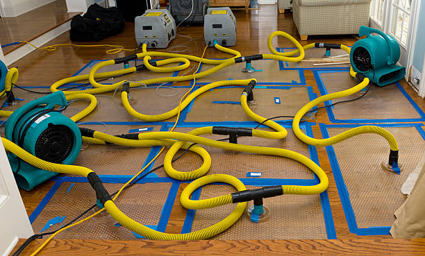 Professional Basement Flood Cleanup technician working in Mechanicsburg, OH